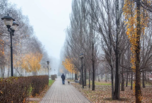Late Autumn City Fog Rare Leaves Trees — Stock Photo, Image