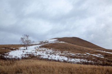 Baharın başlarında Bashkir tepelerinde kar ve kuru otlar vardı..