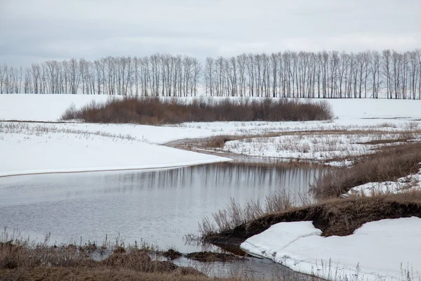 River Early Spring Remains Snow Banks — Stock Photo, Image