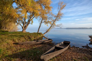 Sonbahar yaprakları arasında, gölün kıyısında bir tekne. Suyun üzerinde eğilen ağaçlar.