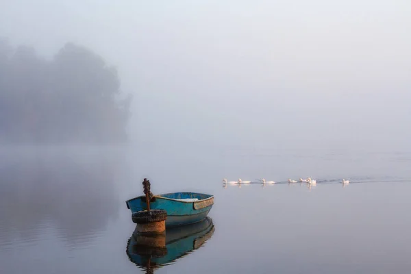 Aube Brumeuse Dessus Lac Bateau Solitaire Sur Eau Les Canards — Photo