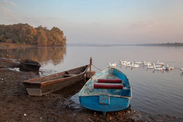 湖面上雾蒙蒙的黎明 船在岸上 鸭子在船边航行 — 图库照片