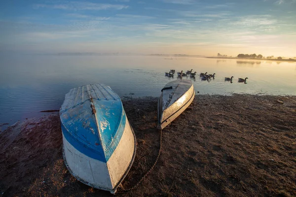 湖面上雾蒙蒙的黎明 翻船在岸上 鸭子在船边游动 — 图库照片