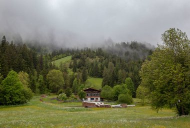 Alpler 'in yüksek kesimlerinde yeşil çayırlar ve yoğun kozalaklı ormanlar arasında yer alan küçük yerleşimler..