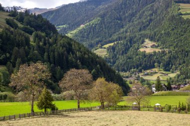 Alplerdeki küçük kırsal yerleşim yerleri yeşil tepeler ve ormanlar arasında.