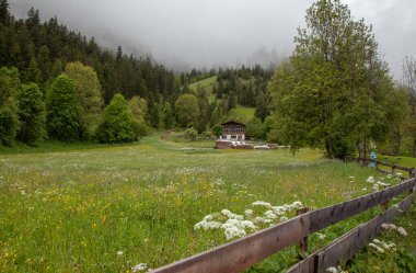 Alplerde yalnız bir malikane. Sabah sisi.