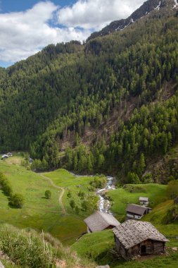Ormanlar arasında Alpler 'de bir köy, dağ zirvelerinin arka planına karşı..
