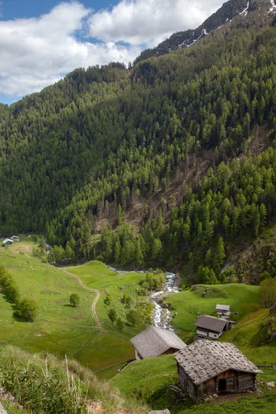 Ormanlar arasında Alpler 'de bir köy, dağ zirvelerinin arka planına karşı..