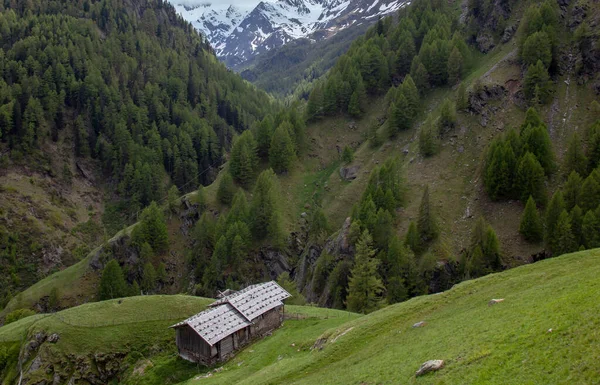 Single Houses Buildings Mountains Surrounded Forest Background Peaks Royalty Free Stock Images