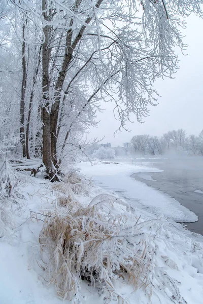 Journée Hiver Givrée Sur Rivière Non Liée Par Glace Les — Photo