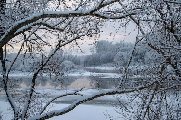 Journée Hiver Glacée Sur Rivière Vue Eau Travers Les Branches — Photo