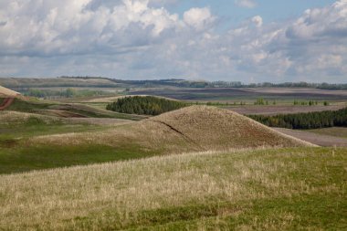Bashkortostan 'ın enginliği. Tepe bölgesi. Ormanın küçük alanları. Eklemek için bir sürü boş alan.