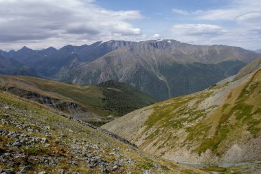Altai dağlarında az bulunan bitki örtüsüyle Rocky geçidi..