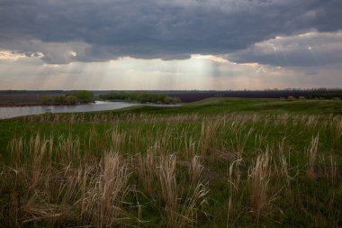 Summer day. Bunches of dry last year's grass in a green meadow. The sun's rays make their way through thick clouds, with a river in the background.