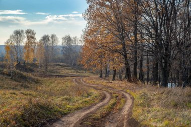 Ağaçlarla çevrili, düşen yapraklarla dolu dolambaçlı bir patika. Güneş ışınları ağaçlardaki seyrek yaprakları aydınlatır.