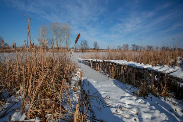 Snow Covered Wooden Bridges Surrounded Reeds Frozen Pond — Stock Photo, Image