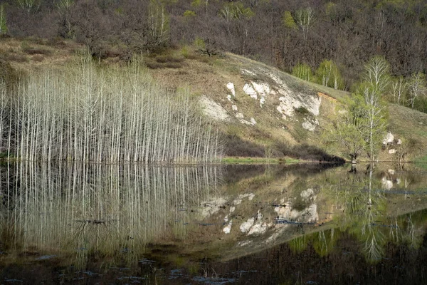 Reflexão Troncos Árvores Brancas Uma Costa Montanhosa Água Reservatório — Fotografia de Stock