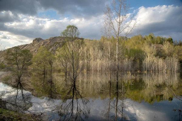 Árvores Caíram Água Durante Dilúvio Primavera Litoral Montanhoso Belas Nuvens — Fotografia de Stock