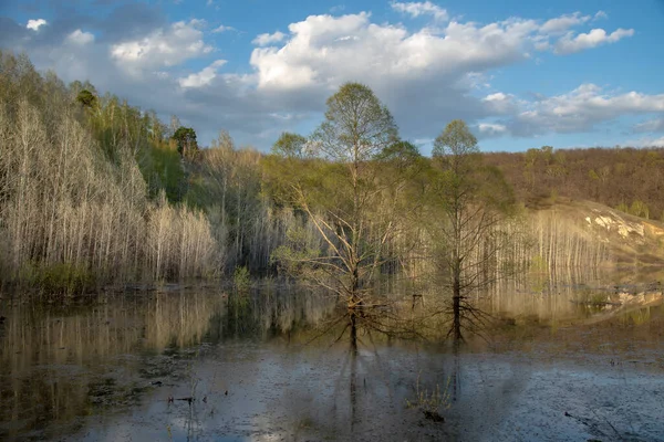 Δέντρα Έπεσαν Στο Νερό Κατά Την Ανοιξιάτικη Πλημμύρα Hilly Ακτογραμμή — Φωτογραφία Αρχείου
