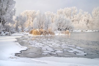 Nehirde soğuk bir kış günü. Buz kütleleri açık sularda yüzer. Kıyıdaki ağaçlar buzla kaplı..