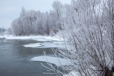 Soğuk bir kış gününde, donmamış bir nehrin kıyısında büyüyen ağaçlar buzla kaplıdır. Bireysel buz kütleleri suyun yüzeyinde yüzer..