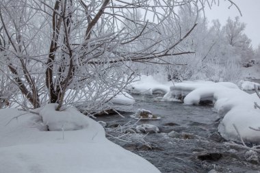 Soğuk bir kış gününde, donmamış bir nehrin kıyısında büyüyen ağaçlar buzla kaplıdır. Sudaki taşlar karla kaplı..