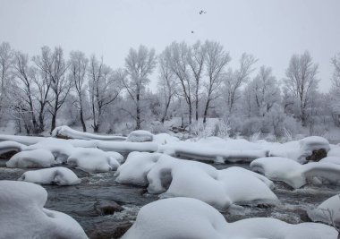 Soğuk bir kış gününde, donmamış bir nehrin kıyısında büyüyen ağaçlar buzla kaplıdır. Sudaki taşlar karla kaplı..