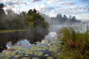 Sabahın erken saatlerinde nehir kenarında sisli bir yer. Rus balıkçılığı için harika bir yer. Sazlıklar kıyılarda büyüyor, bulutlar suya yansıyor..
