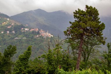 Dağlardaki İtalyan köyünün güzel manzarası. Yağmurdan sonra alçak bulutlar. Ön planda bir ağaç.