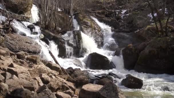 早春瀑布 汹涌的水流落在岩石上 — 图库视频影像