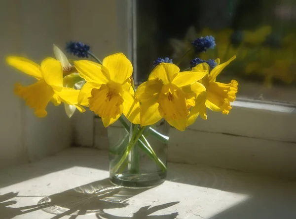 Buquê Narcisos Copo Transparente Peitoril Janela — Fotografia de Stock