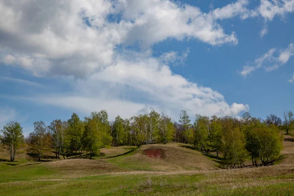 Kopcovitá Oblast Které Rostou Stromy Většinu Rámu Tvoří Obloha Krásnými — Stock fotografie