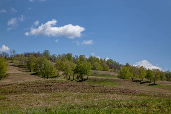 Kopcovitá Oblast Které Rostou Stromy Většinu Rámu Tvoří Obloha Krásnými — Stock fotografie