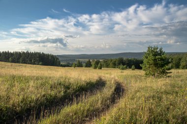 Çiçek açan, yaz çayırı, kır yolu, gökyüzünde güzel bulutlar.