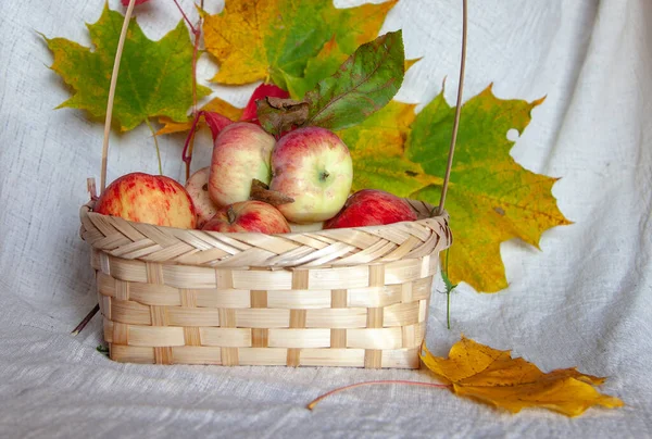 Korg Med Äpplen Och Höstlönnlöv — Stockfoto