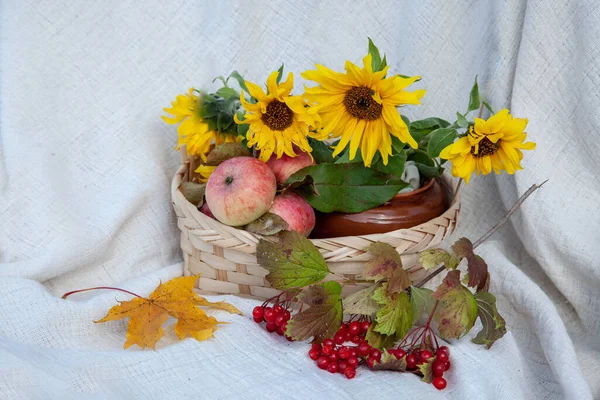 Panier Aux Pommes Aux Baies Viorne Fleurs Tournesol — Photo