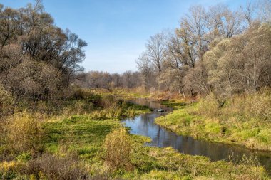 Bir balıkçı sonbaharda bir su deposunda balık yakalar..