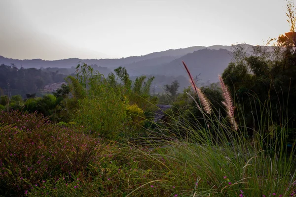 Schöne Landschaft Mit Blick Auf Die Hügel Entlang Coorg Kodagu — Stockfoto