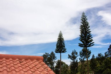 Yercaud, Hindistan 'daki Shevaroy Tepeleri boyunca manzaranın manzarası