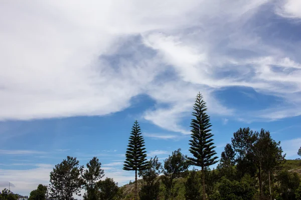 Landschap Langs Shevaroy Hills Yercaud India — Stockfoto