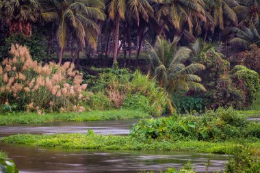 Bharathappuzha Nehri 'ndeki pürüzsüz ve ipeksi su akışının görüntüsü (Nila veya Ponnani Nehri olarak da bilinir), Pollachi, Tamil Nadu, Hindistan