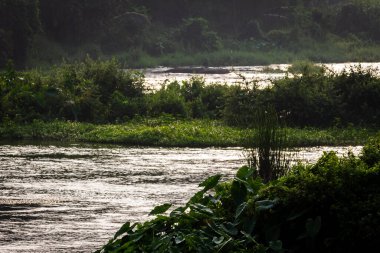 Bharathappuzha Nehri 'ndeki (Nila veya Ponnani Nehri olarak da bilinir) su akışının görüntüsü, Pollachi, Tamil Nadu, Hindistan. Seçici odak