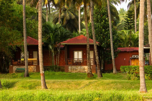 Gästehaus Inmitten Der Natürlichen Umgebung Der Kokospalmenplantage Pollachi Tamil Nadu — Stockfoto