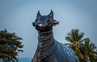 Kolar, Karnataka, Hindistan tapınağındaki dev Nandhi heykelinin görüntüsü. Nandi, Lord Shiva 'nın evi Kailasa' nın kapı koruyucusudur.
