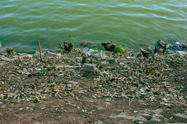 インドのカルナータカ州バンガロールで最大の湖の一つの銀行 — ストック写真