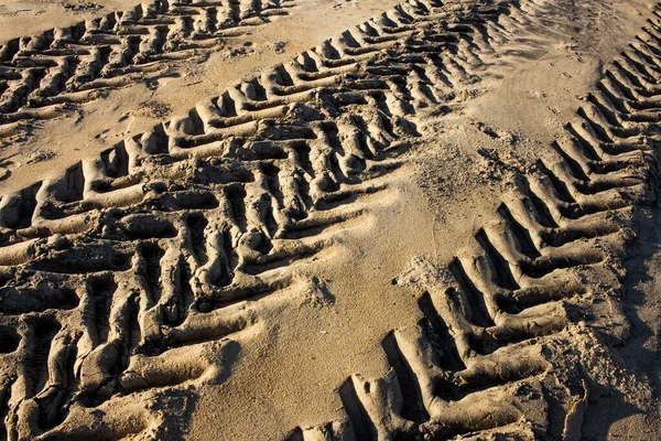 Tractor Tire marks over the beach sand in Mahabalipuram. Tyre impression of a vehicle.