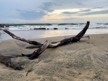 Tamil Nadu 'daki Tharangambadi sahilinde, Bengal Körfezi' nin sakin suları bu huzurlu ve sakin kıyı şeridi ile buluşuyor..