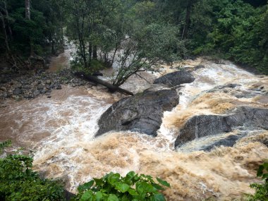 Kükreyen Charpa Şelaleleri 'nin çamurlu muson suları yağışlı mevsimde, Thrissur bölgesindeki yemyeşil kayaların arasında devasa kayaların üzerinden akıyor..