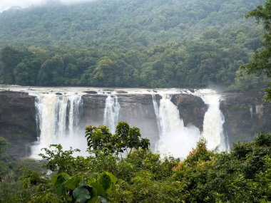 Thrissur bölgesindeki Athirappilly Şelalesi, Kerala, Hindistan 'ın en büyük doğal şelalesi olan yemyeşil ormanlarda muson mevsiminde çağlayarak ilerliyor..