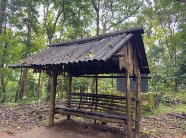 Uzun ağaçlar ve doğal bitki örtüsüyle çevrili Kerala 'nın Thrissur ilçesindeki sık ormandan Athirappilly Şelaleleri' ne uzanan patika boyunca küçük bir dinlenme alanı..